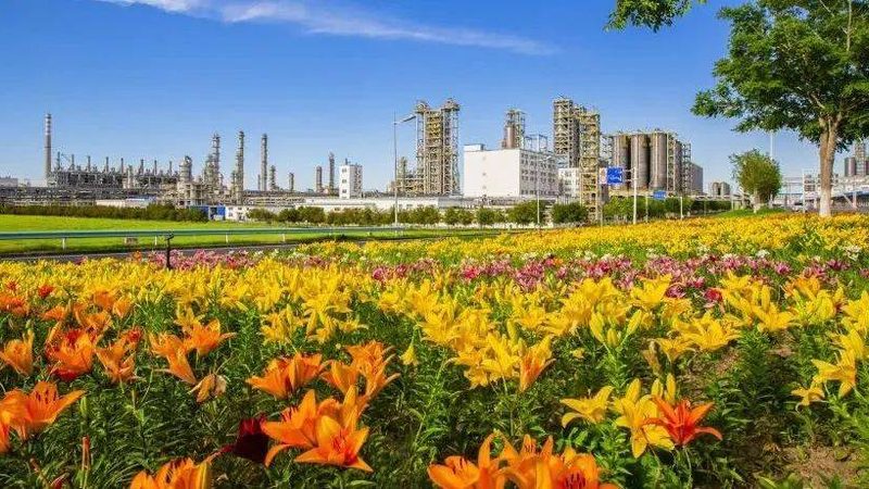 改性塑料颗粒市场报价：如何精准把握行情脉搏**